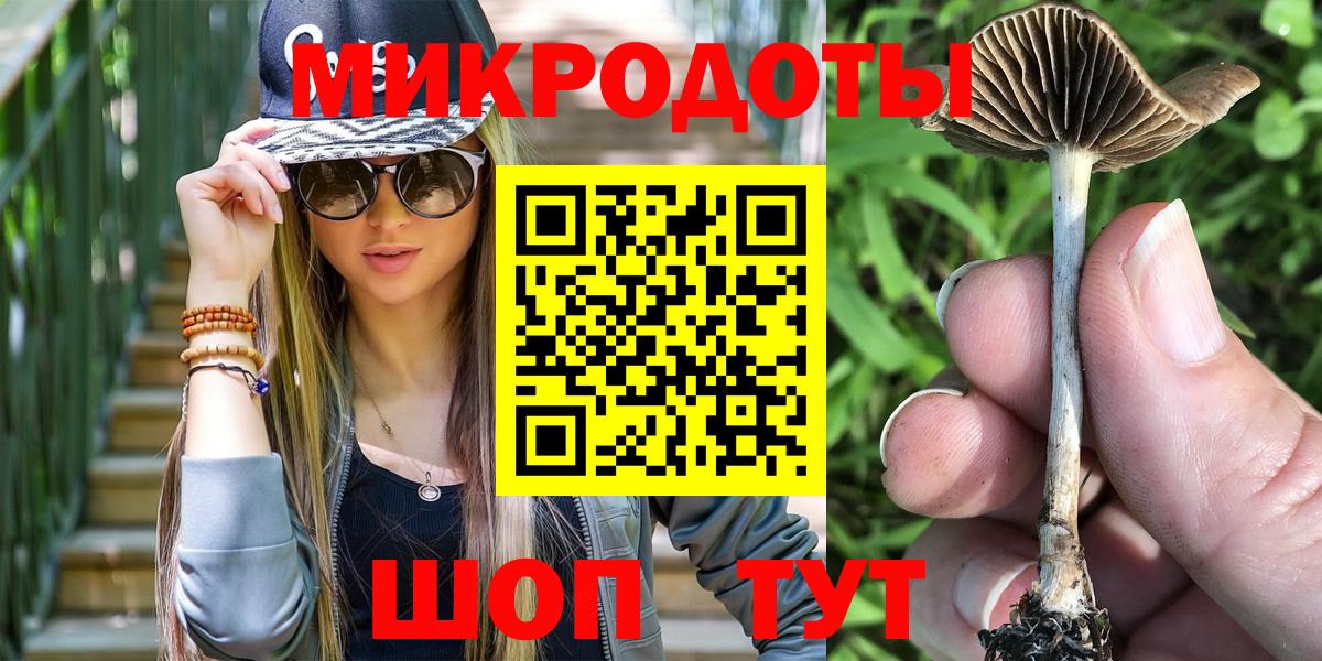 Псилоцибиновые грибы Psilocybine cubensis Ртищево