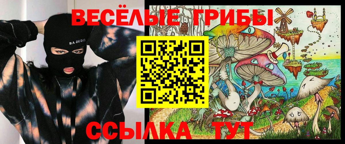 Ртищево  Галлюциногенные грибы Psilocybe  Вход с VPN  Псилоцибиновые грибы прущие грибы 